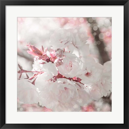 Framed Pinky Blossom 3 Print