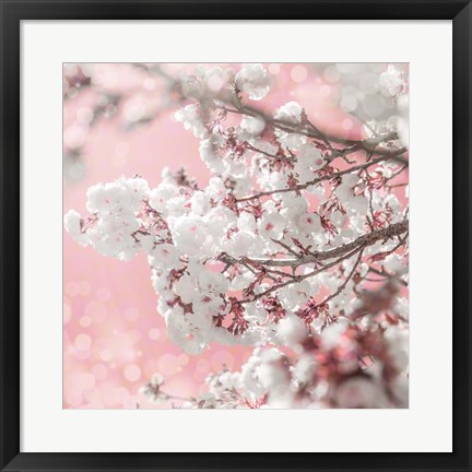 Framed Pinky Blossom 5 Print