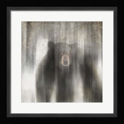Framed Antique Wildlife bear Print