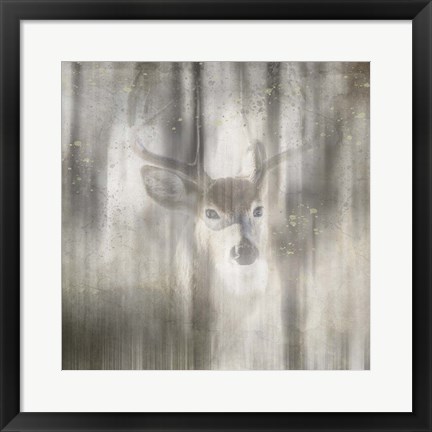 Framed Antique Wildlife Deer 01 Print