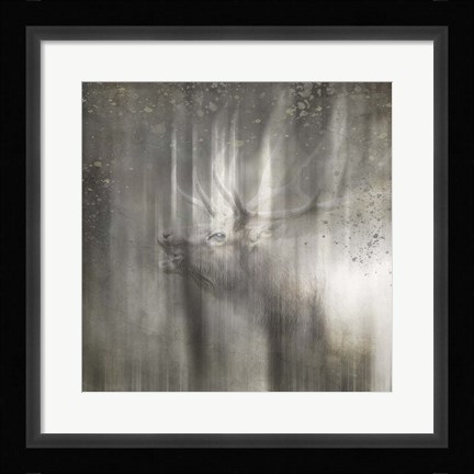 Framed Antique Wildlife Elk Print