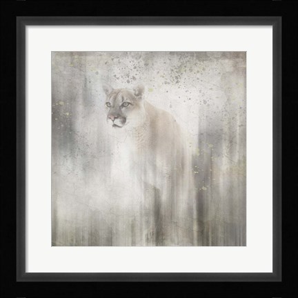 Framed Antique Wildlife Lion Print