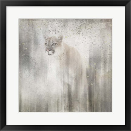Framed Antique Wildlife Lion Print