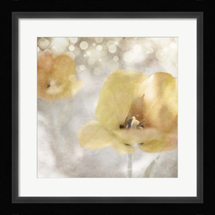 Framed Yellow Tulip 02 Print