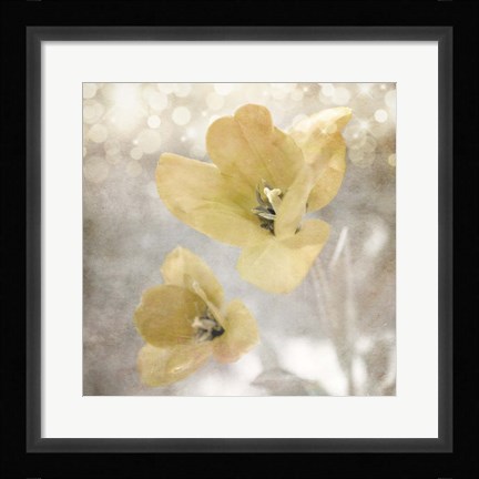Framed Yellow Tulip 03 Print