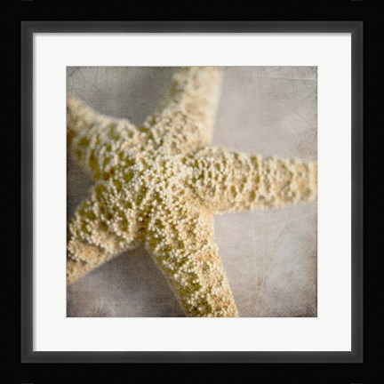 Framed Under the Sea 03 Print