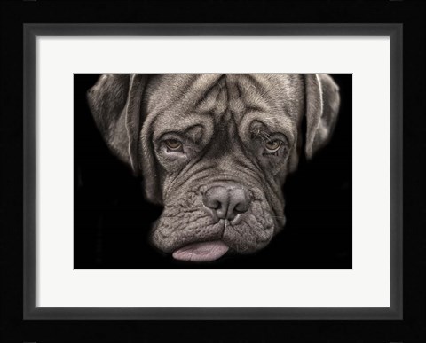 Framed Say What Print