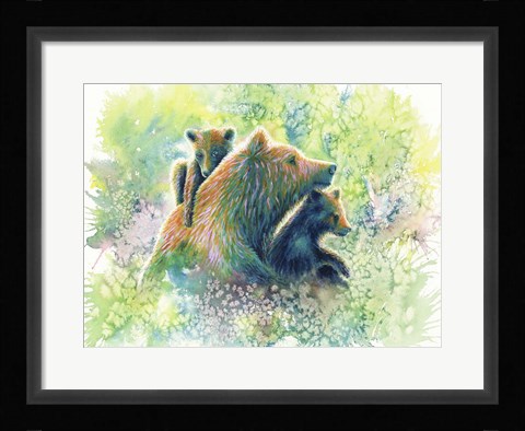 Framed Mother Grizzly Bear Print