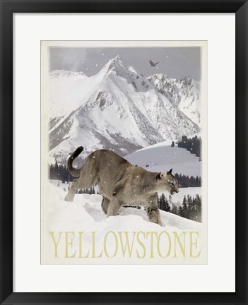 Framed Mountain Lion Print