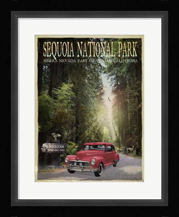 Framed Sequioa National Park Print
