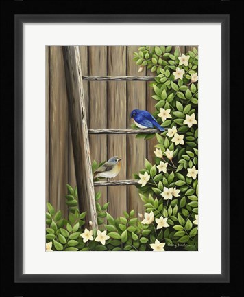 Framed Weathered and Feathered Print