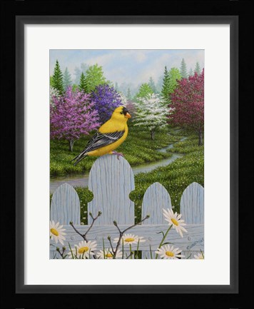 Framed Goldfinch and Daisies Print