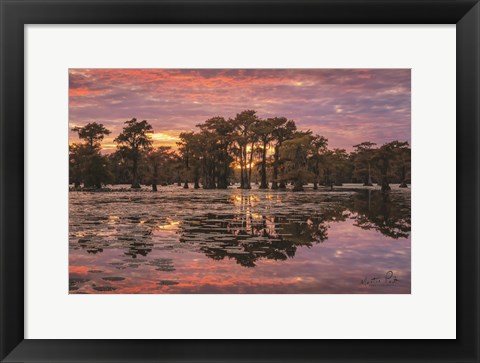 Framed Sundown in the Swamps Print