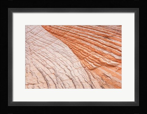 Framed Coyote Buttes VI Print