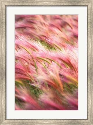 Framed Foxtail Barley IV Print
