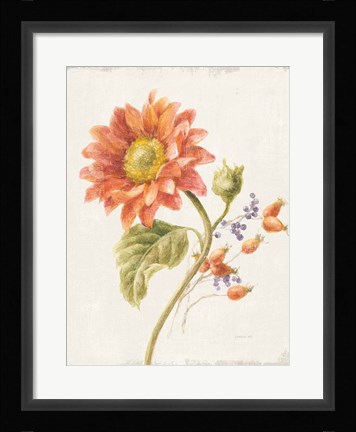 Framed Floursack Autumn II v2 Crop Print