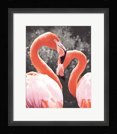 Framed Flamingo II on BW Print
