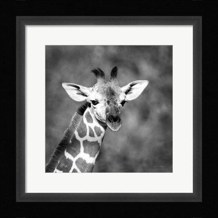 Framed Little Guy Print