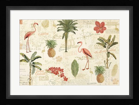 Framed Floridian VI Print