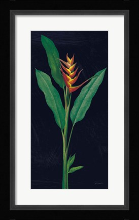 Framed Dramatic Tropical IV Print