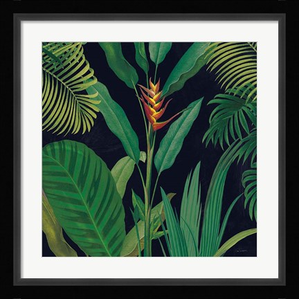 Framed Dramatic Tropical II Print