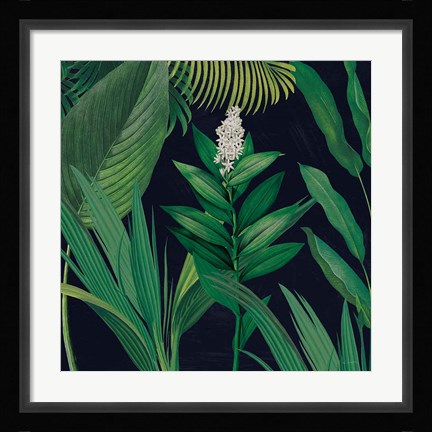 Framed Dramatic Tropical I Print