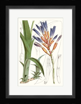 Framed Tropical Plants I Print