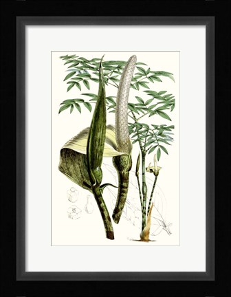 Framed Tropical Plants IV Print