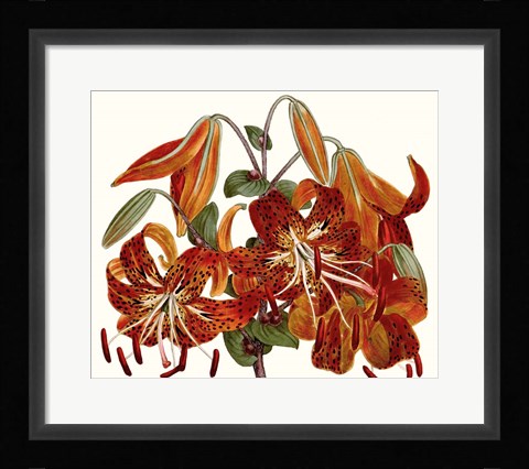 Framed Striking Coral Botanicals II Print