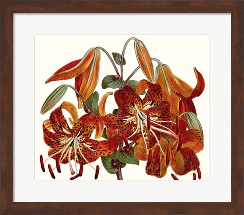Framed Striking Coral Botanicals II Print