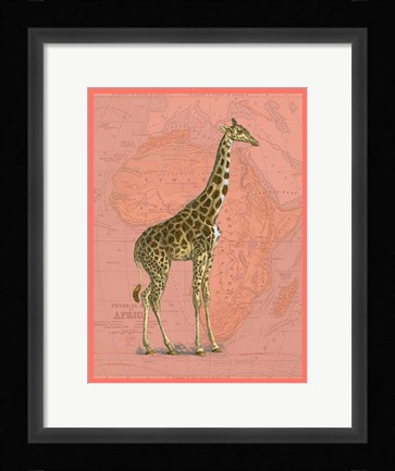 Framed African Animals on Coral I Print
