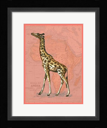 Framed African Animals on Coral II Print
