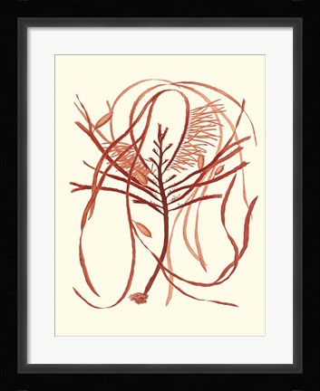 Framed Coral Seaweed I Print