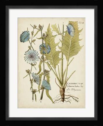 Framed Eloquent Botanical I Print