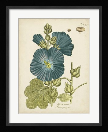Framed Eloquent Botanical IV Print