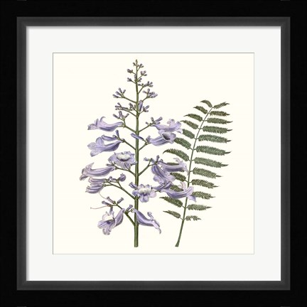 Framed Graceful Botanical III Print