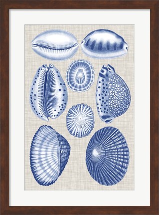 Framed Navy &amp; Linen Shells I Print