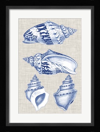 Framed Navy &amp; Linen Shells II Print