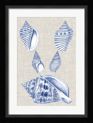 Framed Navy &amp; Linen Shells III Print