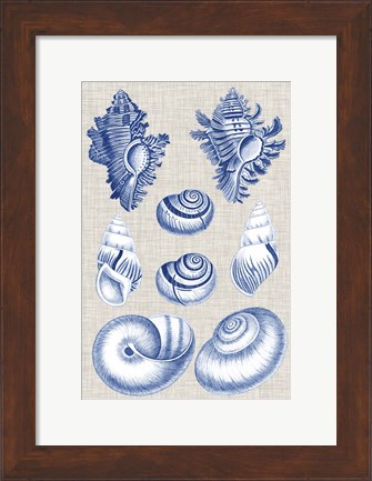 Framed Navy &amp; Linen Shells IV Print
