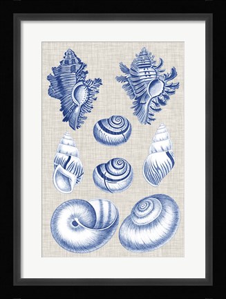 Framed Navy &amp; Linen Shells IV Print