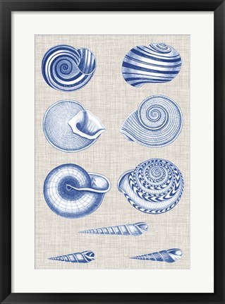 Framed Navy &amp; Linen Shells V Print