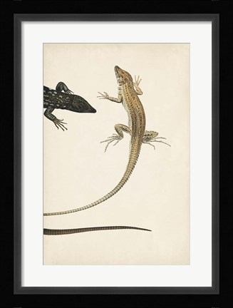 Framed Lizard Diptych II Print