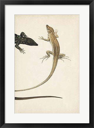 Framed Lizard Diptych II Print