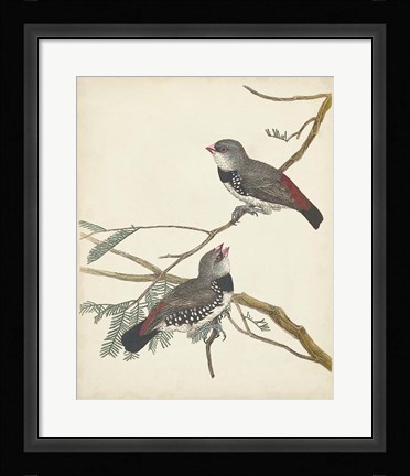 Framed Graceful Birds I Print