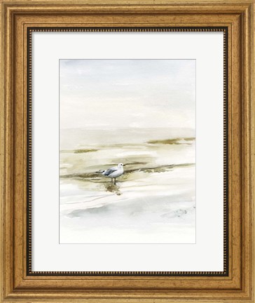 Framed Coastal Gull I Print