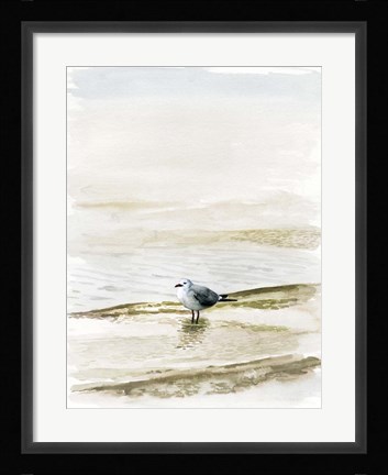 Framed Coastal Gull II Print