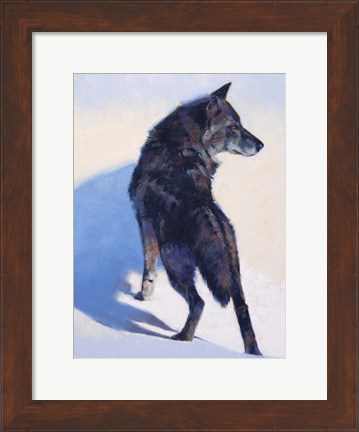 Framed Wolf Study I Print