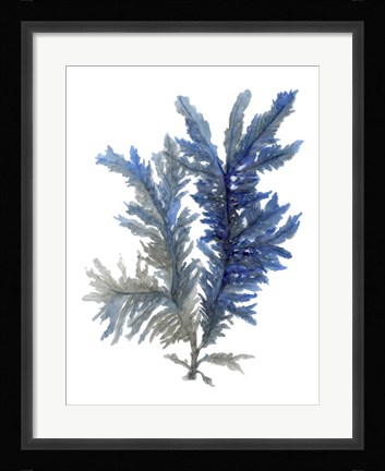 Framed Ocean Bloom I Print