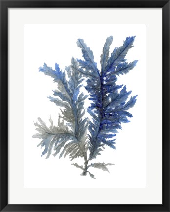 Framed Ocean Bloom I Print